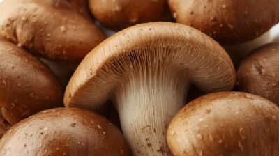 きのこ 腸活 ダイエット